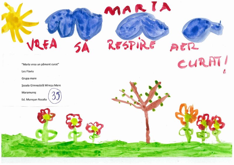 35_Flaviu LES_Miresu Mare.jpg